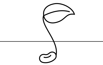 Seed Illustration